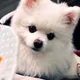 예원이네