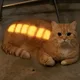 오늘의청소방