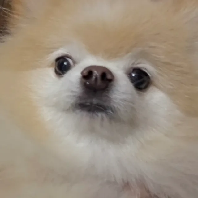7932
