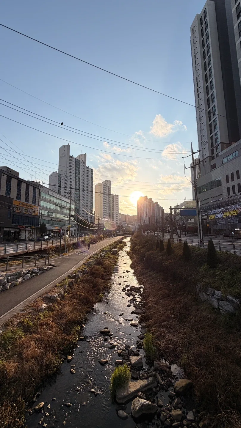 동천동천동천동