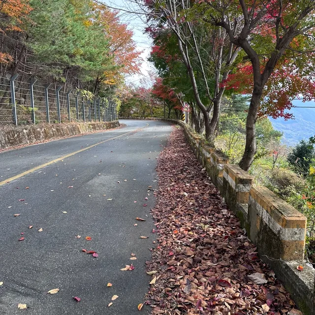 산이좋아