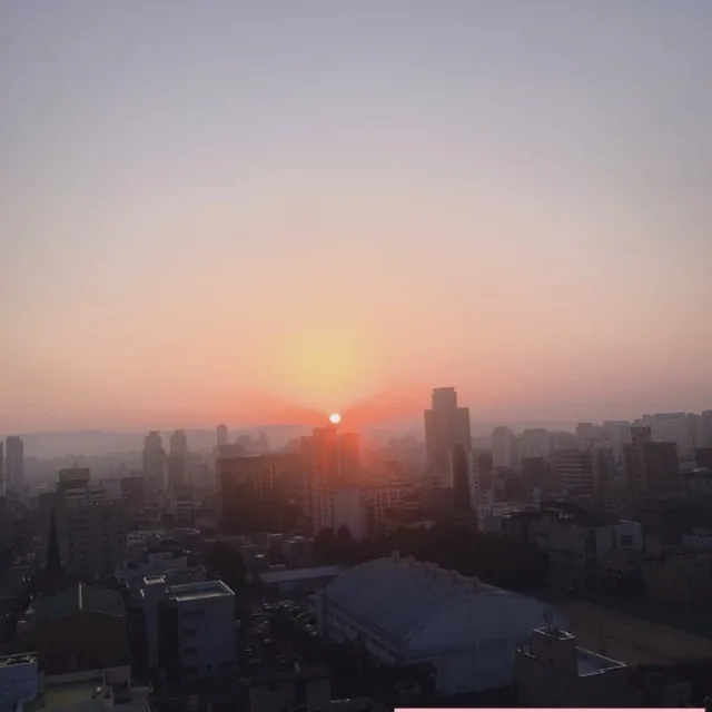 피노키오