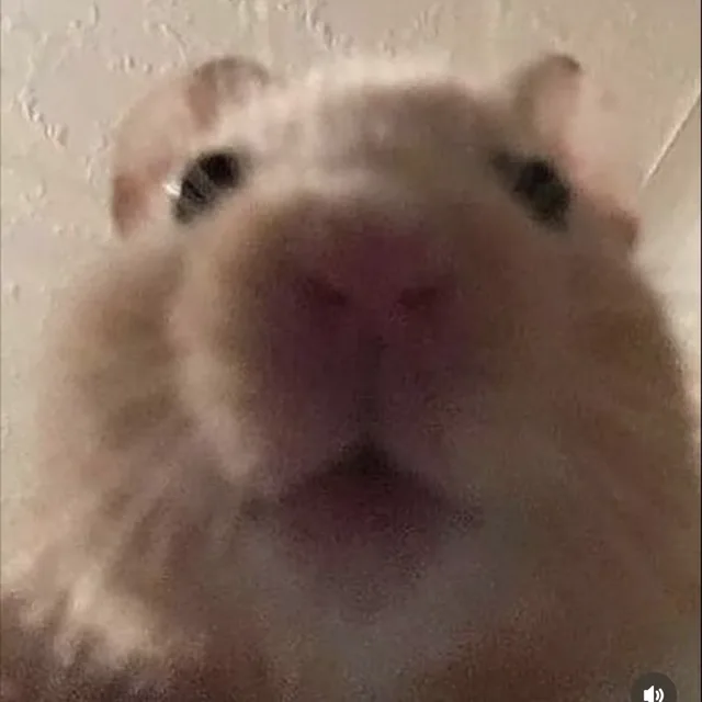 짬뽕삥
