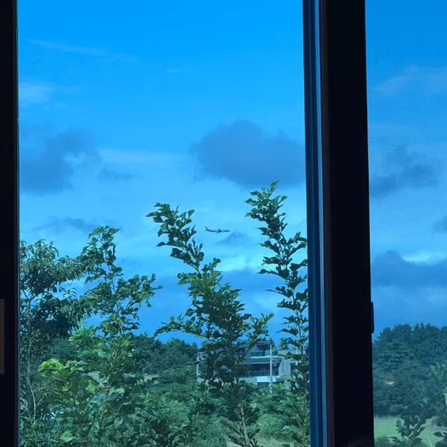 철갑소나무