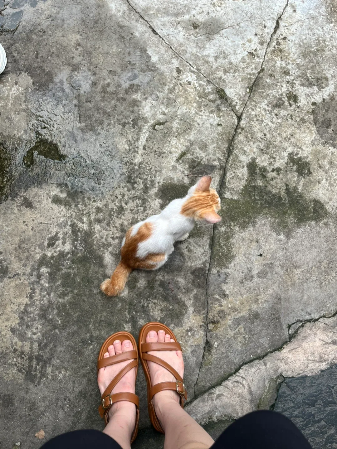우으아