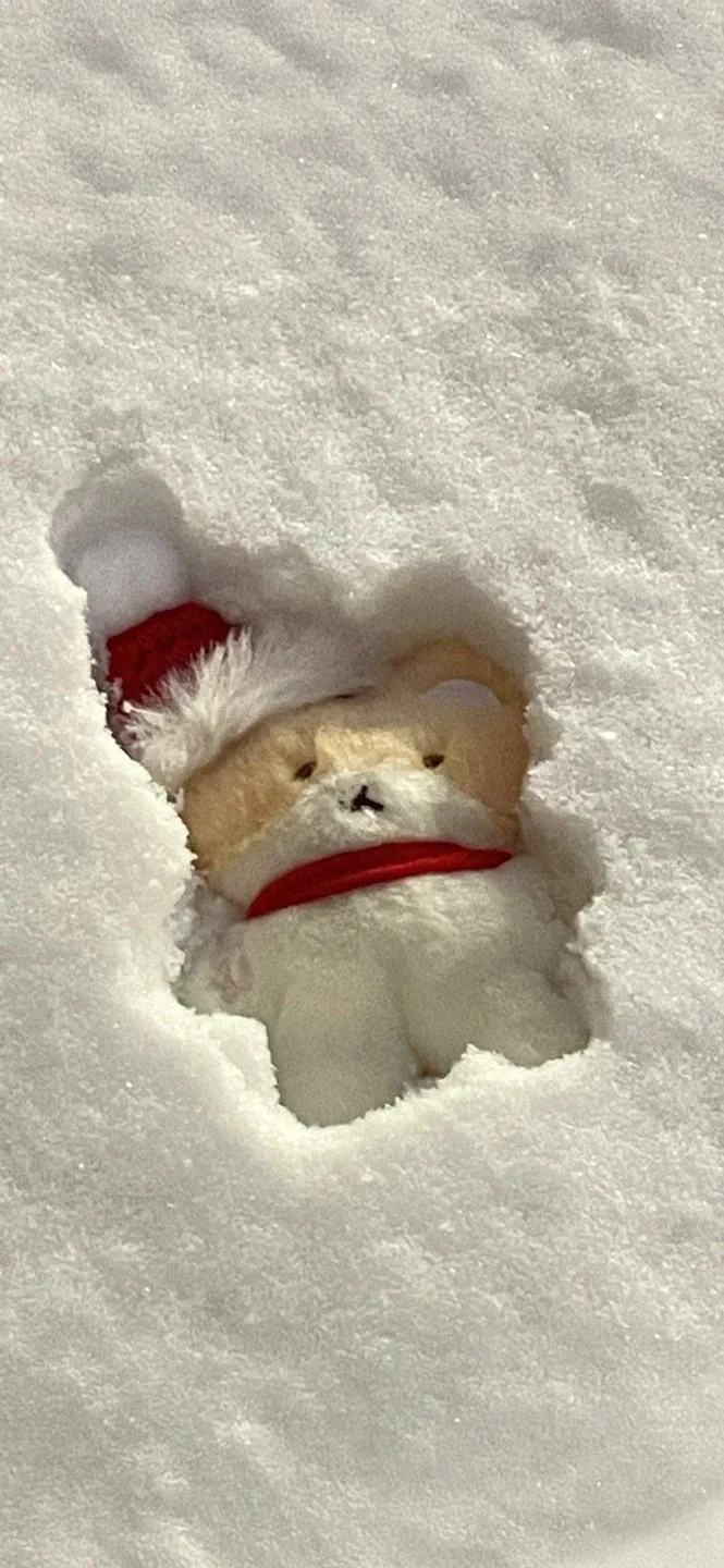 따뜻한아바라