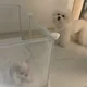 억만복치맘
