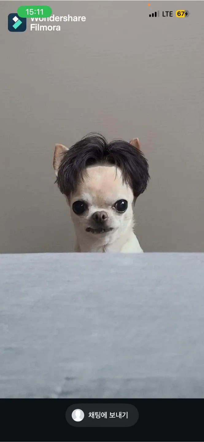 호호