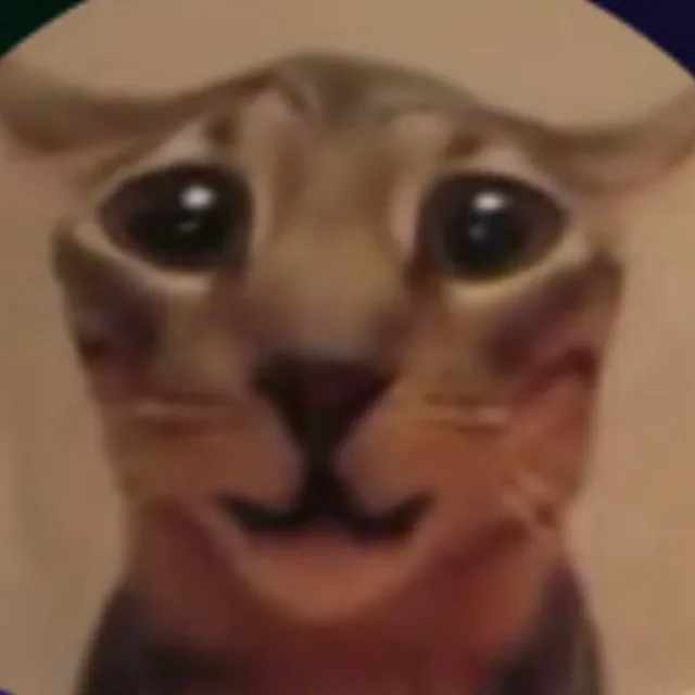 노코