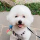 까니끄니