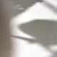 홀리데이