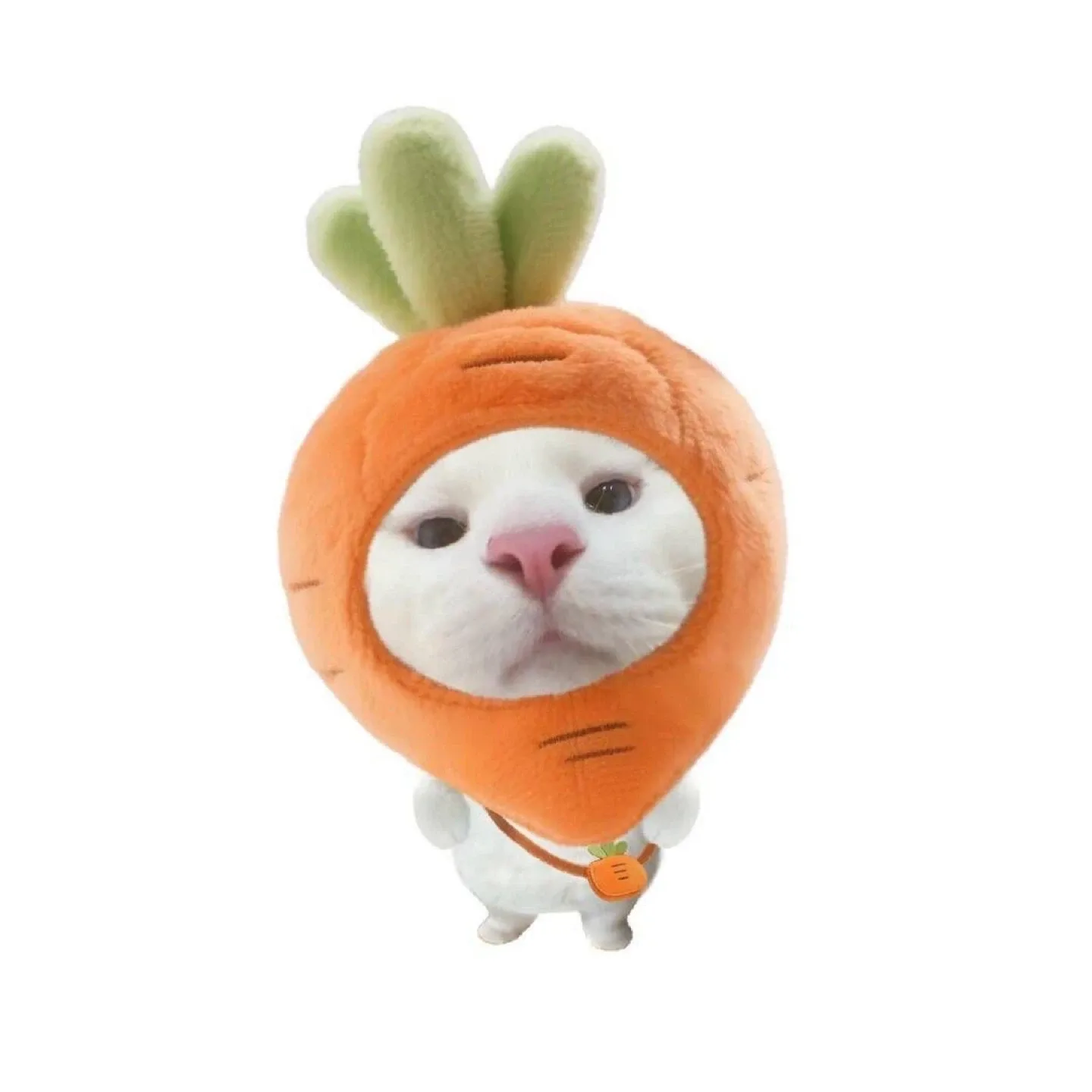 비비