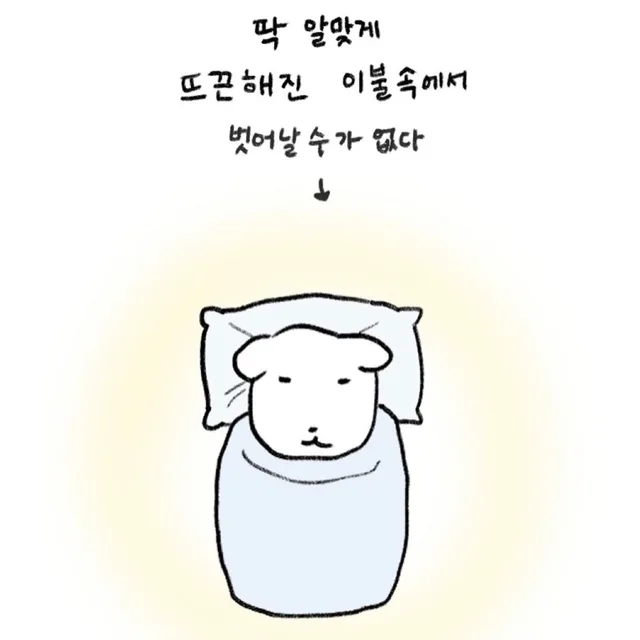 냥이