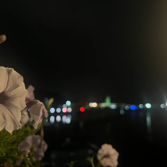 동홍동
