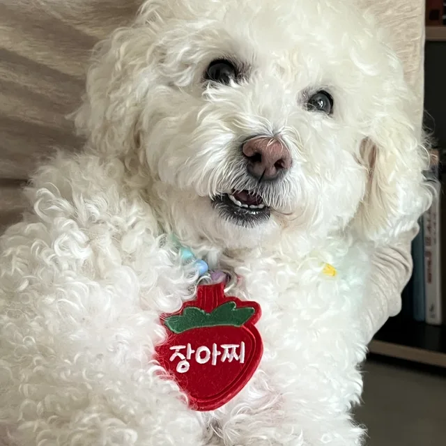 메타포