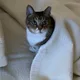 행운