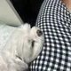 바로팔려도난몰라요유유