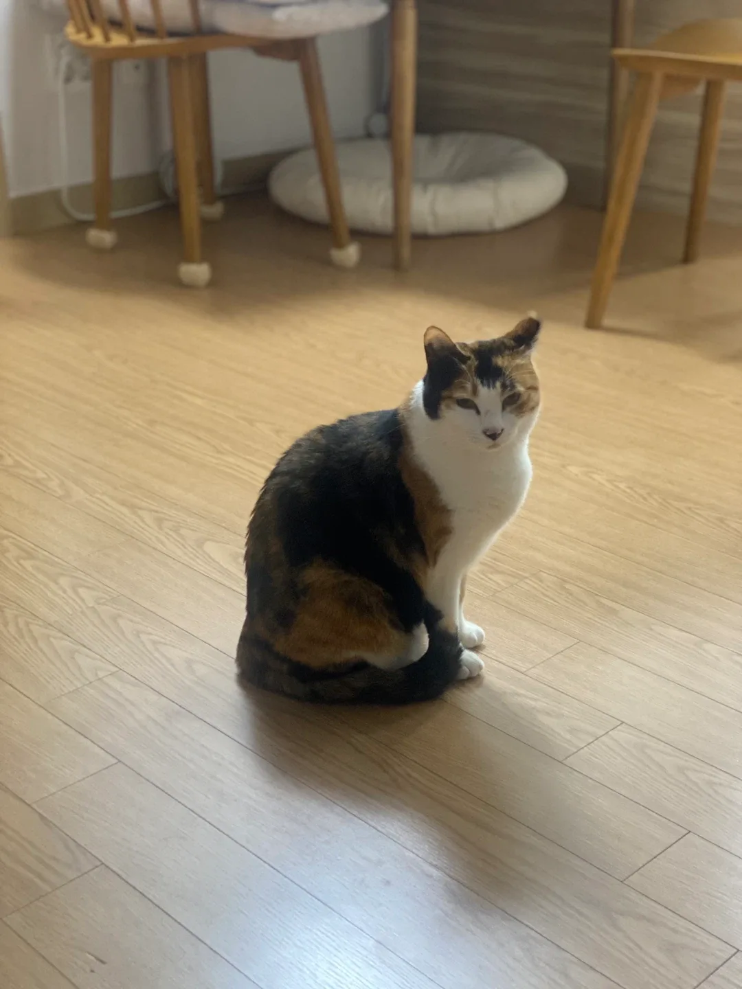 카노이스프리