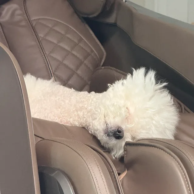 루키루시