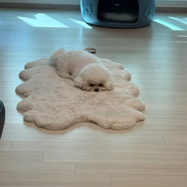 친절한아저씨