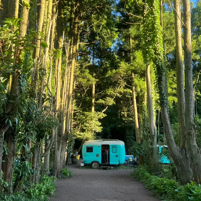 서울우유