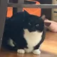 힘내자