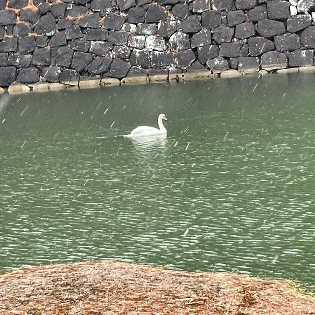간마이
