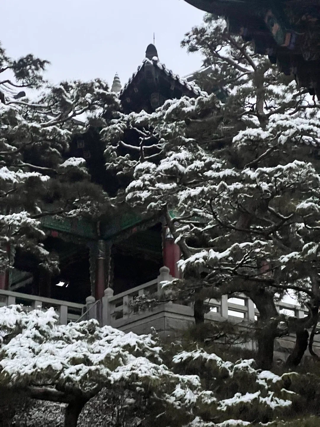 우주의가을