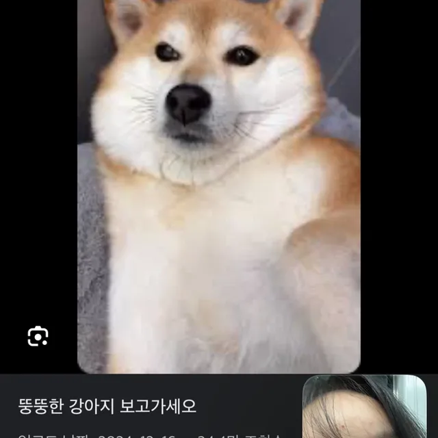 순당무