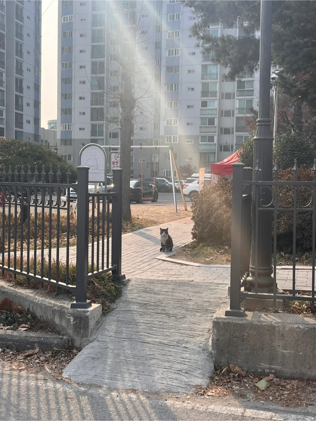 추리밍