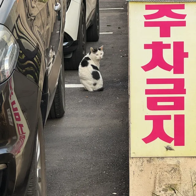 키키
