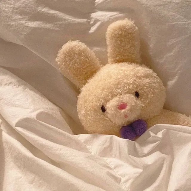 로즈그레이