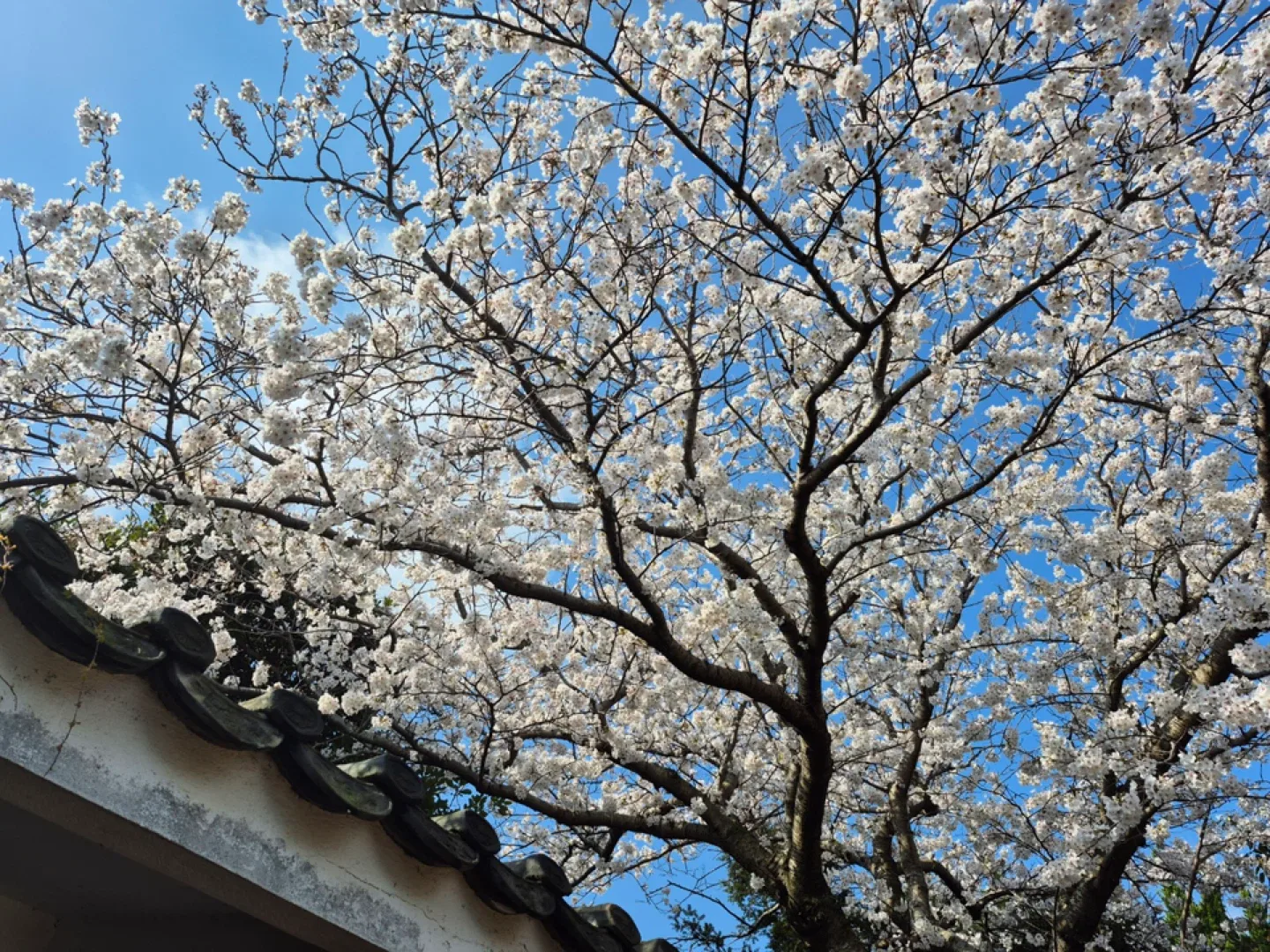 찰떡쿵