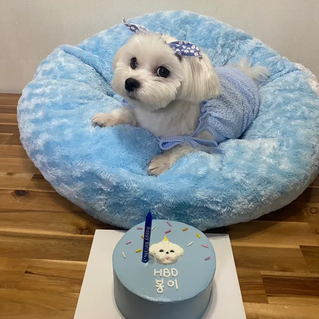 규봉이간식줘라