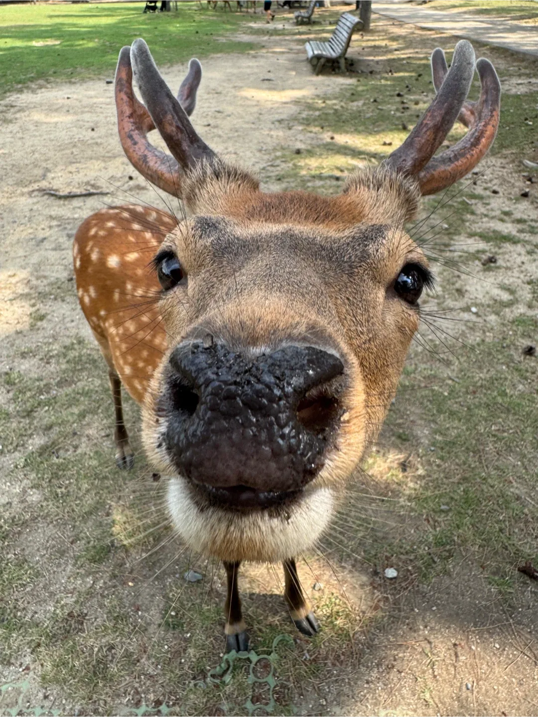 블루탱구