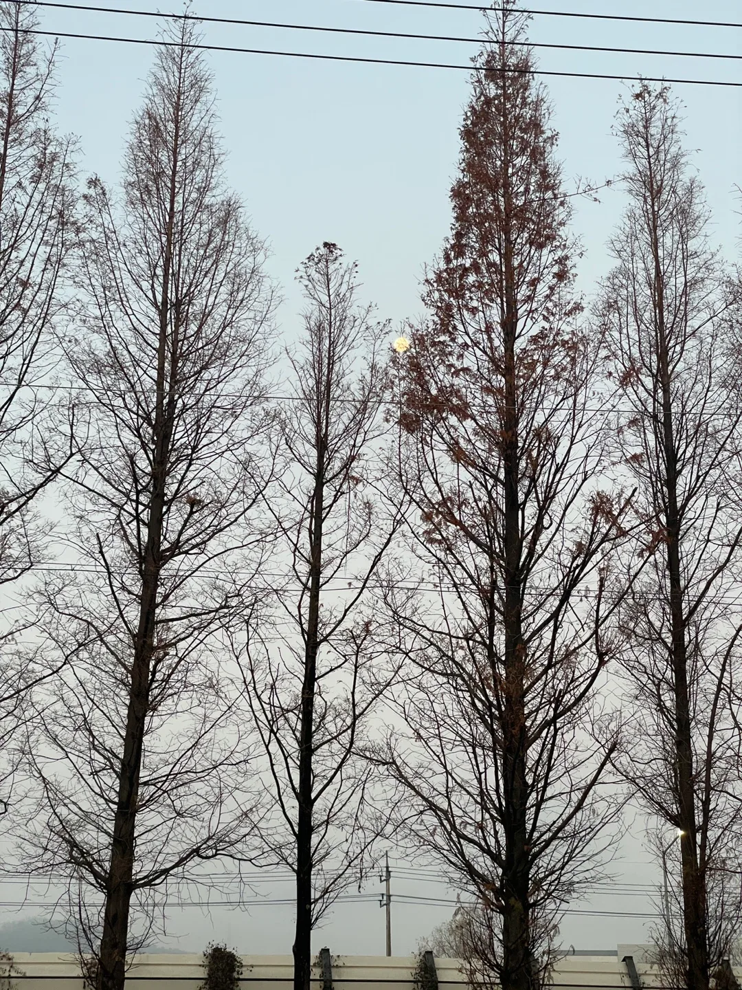 오늘도해피