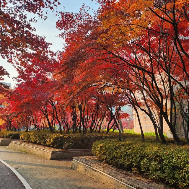 물뿌