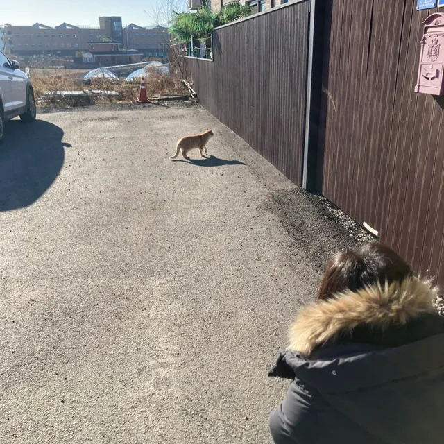 히도
