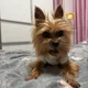 루이