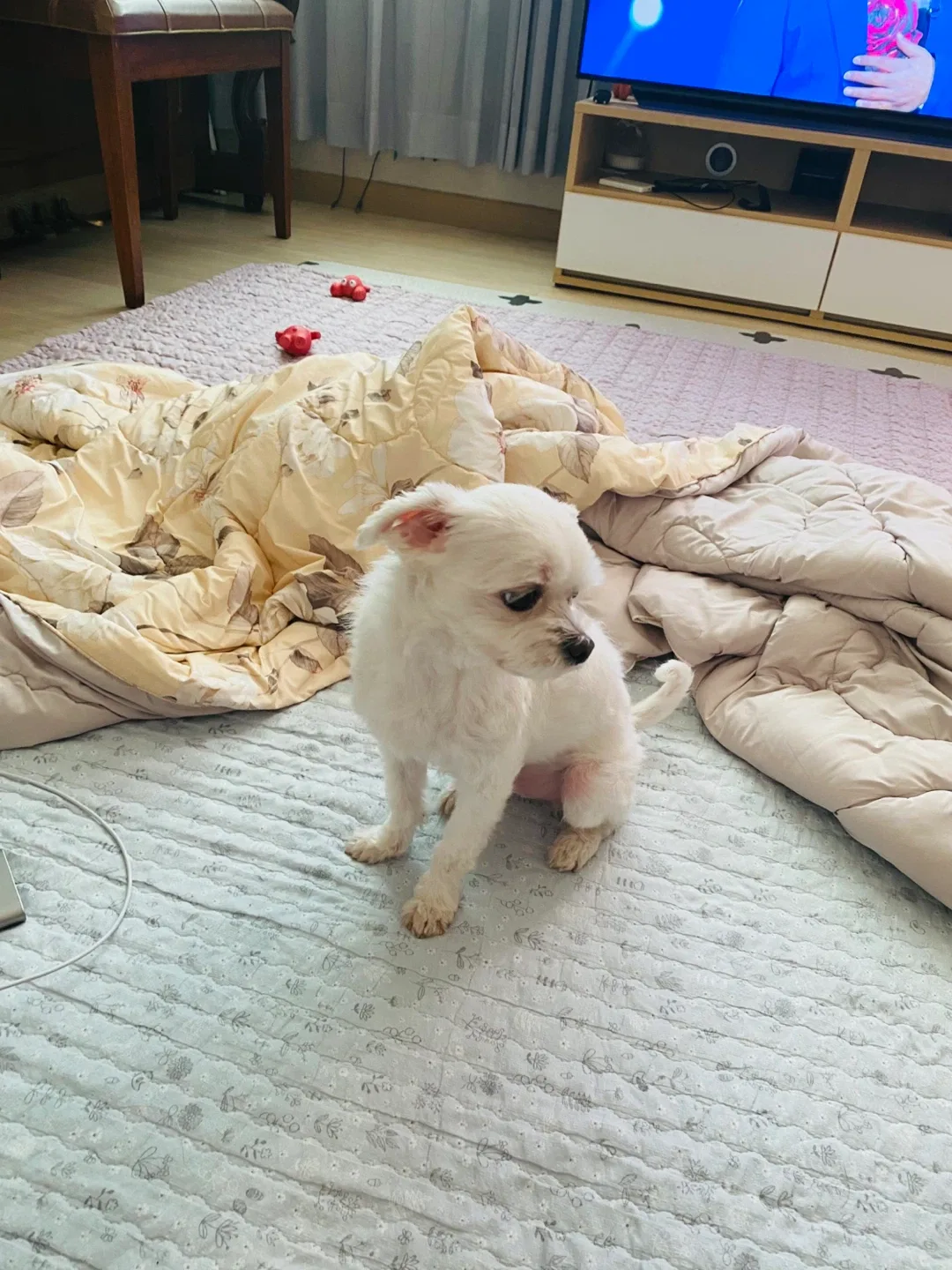 도비누나