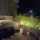 아스라다