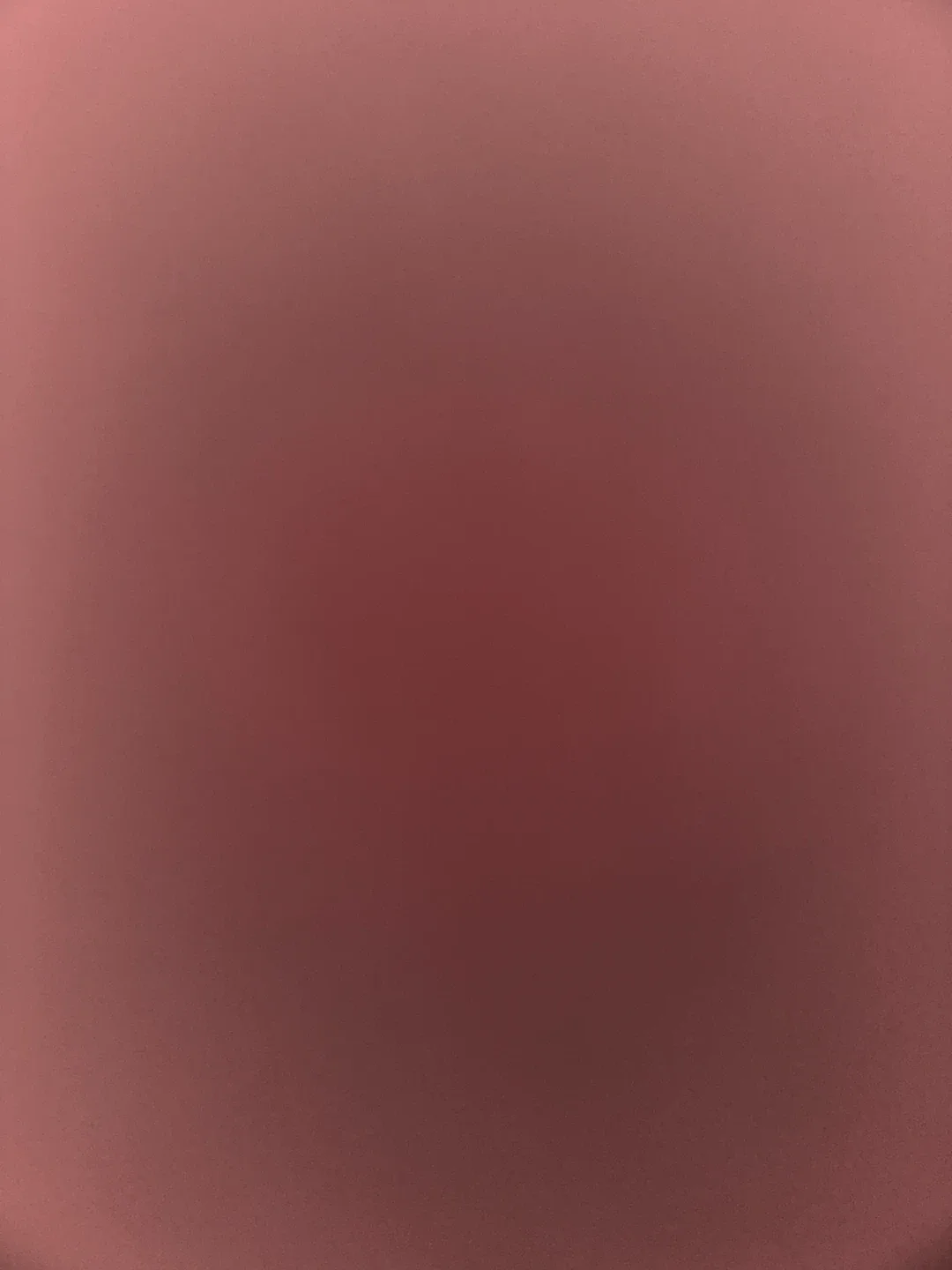 당근캐럿