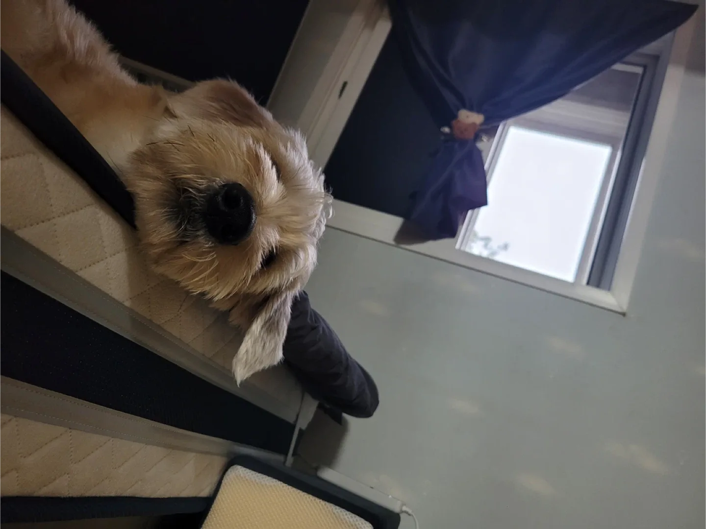 가을가을