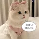 하루님