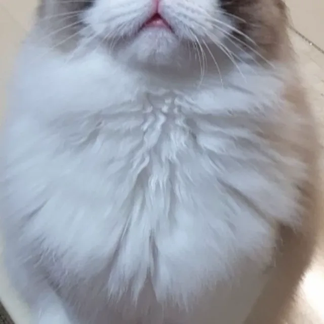 나를사랑한다