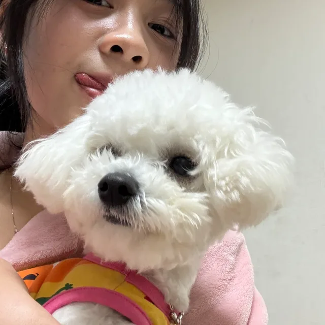꿘안