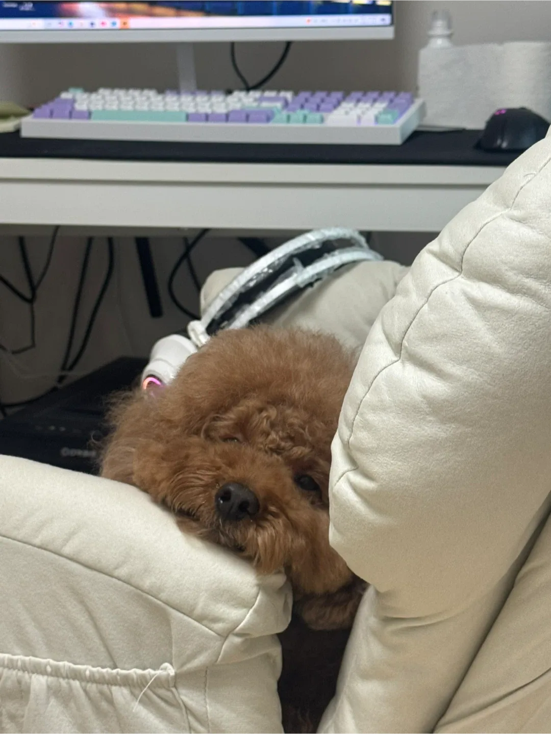 스트롱솔