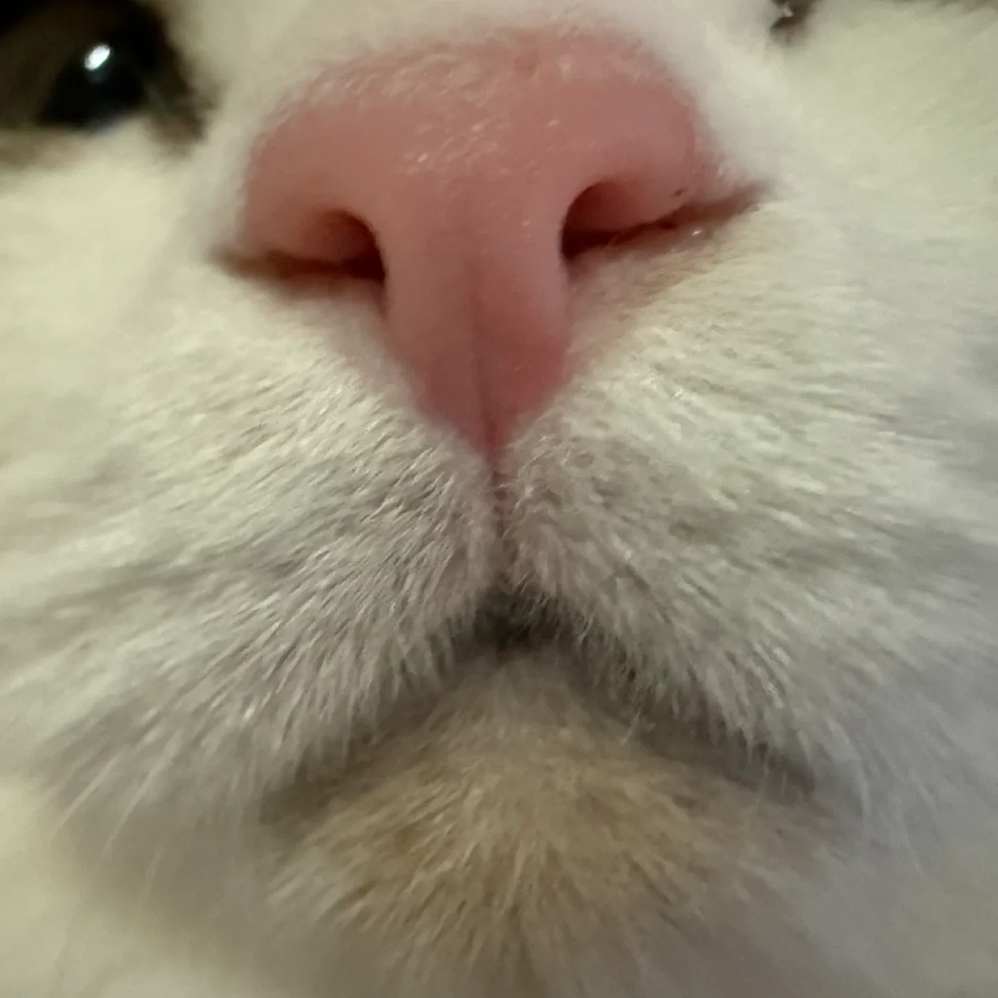 께힁