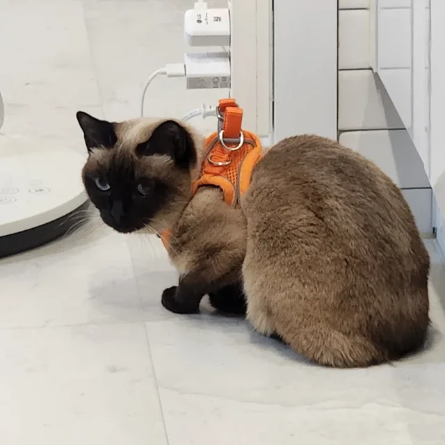 뜨민