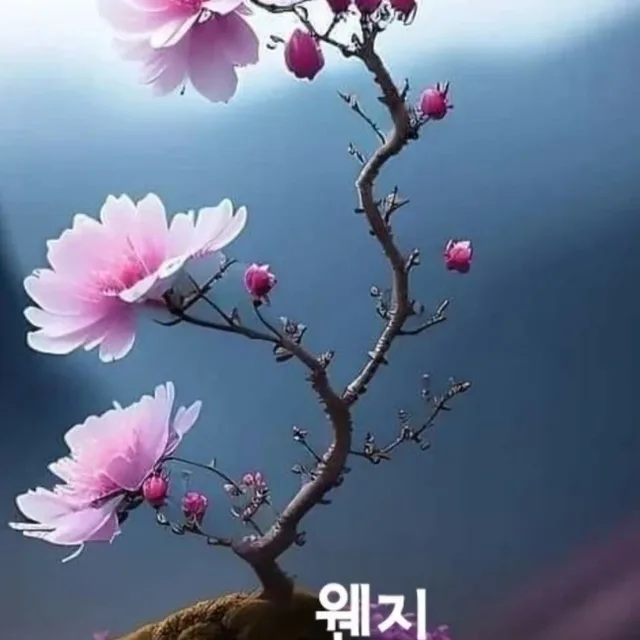 꽃띠